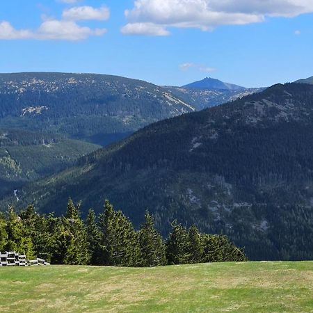 Rezidence Alpina - Apartman 15 Špindlerŭv Mlýn Exterior foto